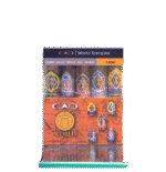 سیگار برگ پک سمپل جدید CAO WORLD SAMPELE - Image 2