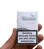 وینستون سیلور جدید (غیر اصل) Winston Silver