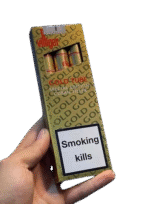سیگار برگ شرکتی ویلیجر تیوب گلد Villiger Gold Tube - Image 3