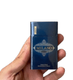 میلانو ونتو انگور Milano Vento - Image 2